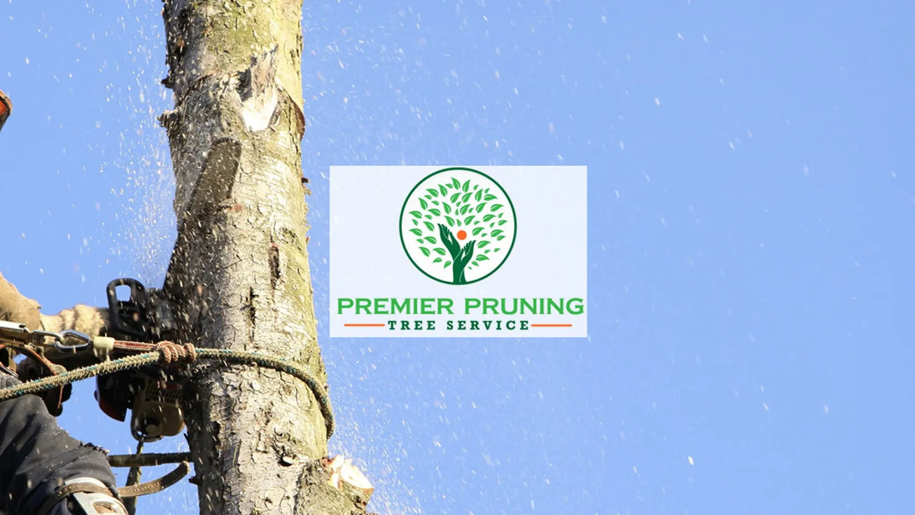 Premier Pruning hero image